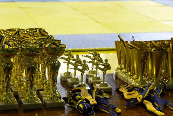 Нагороди турніру Вишгородського району